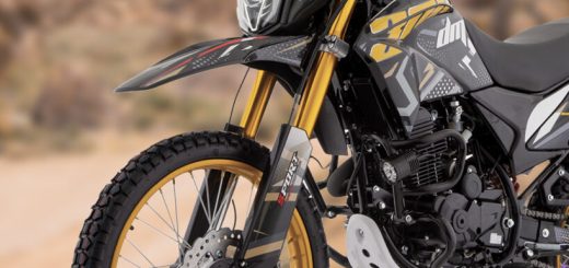 Conoce la nueva doble propósito Italika DM300 - Revista Moto