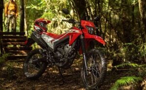 Financiación para la Honda Tornado, una nueva trail barata y más: resumen semanal