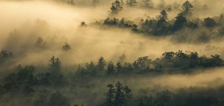 Rueda por Bélgica: Entre abadías, bosques encantados y caminos con historia
