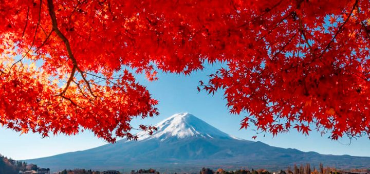 Japón: Caminos, paisajes y leyendas del motociclismo