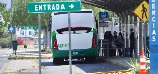 Scooters, bicicletas y motos eléctricas: Por qué cada vez más personas eligen moverse en este transporte - El Sol de México