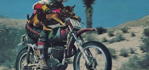 John McCown y Kookie: La dupla imbatible del desierto