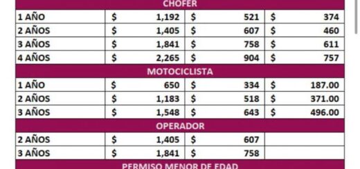 Licencias en Sonora: precios oficiales 2026 para autos, motos y choferes - Proyecto Puente