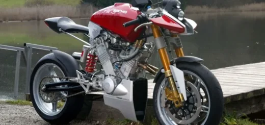 Moto del día: Sachs Beast 1000