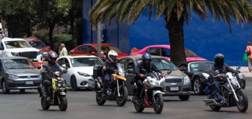 Motos: la selva de las dos ruedas - SinEmbargo