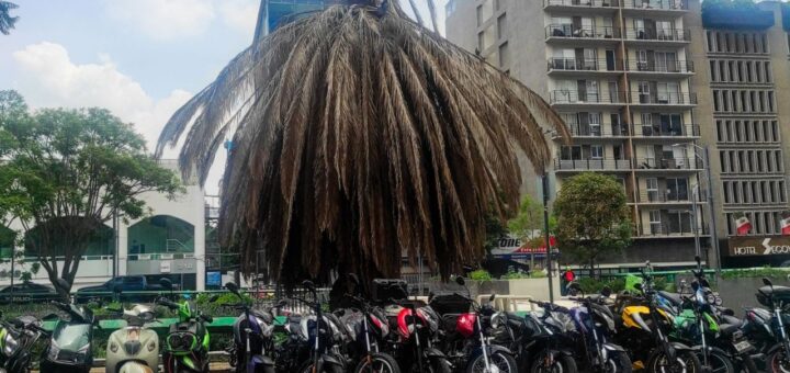 ¿Cuando descansan las motos por el Hoy No Circula - El Heraldo de México