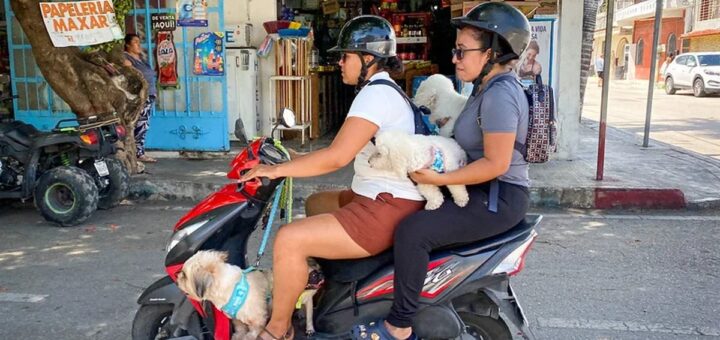 Buscan prohibir que menores de 12 años viajen en motocicleta en Tamaulipas - La Jornada