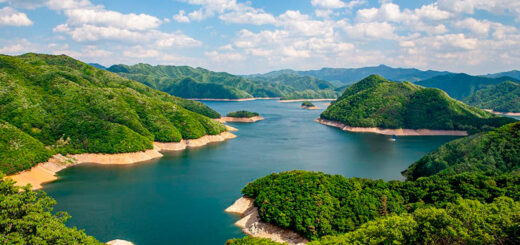 Hamamatsu: la ruta donde nació una leyenda