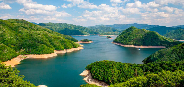 Hamamatsu: la ruta donde nació una leyenda