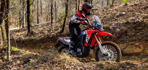 Honda tiene una aventurera de 300 cc que podría ser un éxito en el mercado local