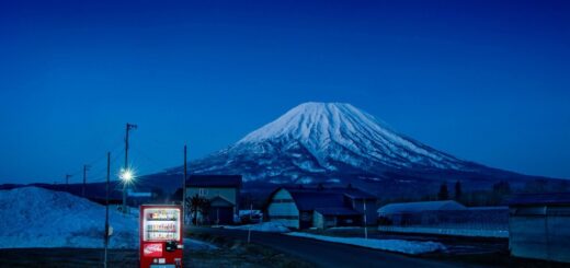 ¿Que por qué en Japón hay tanto motero? El país convirtió sus carreteras en parques temáticos con peajes de 'placer', máquinas expendedoras y luces