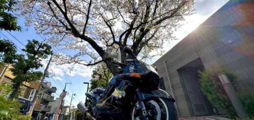 ¿Que por qué en Japón hay tanto motero? El país convirtió sus carreteras en parques temáticos con peajes de 'placer', máquinas expendedoras y luces
