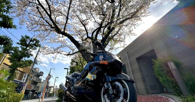 ¿Que por qué en Japón hay tanto motero? El país convirtió sus carreteras en parques temáticos con peajes de 'placer', máquinas expendedoras y luces