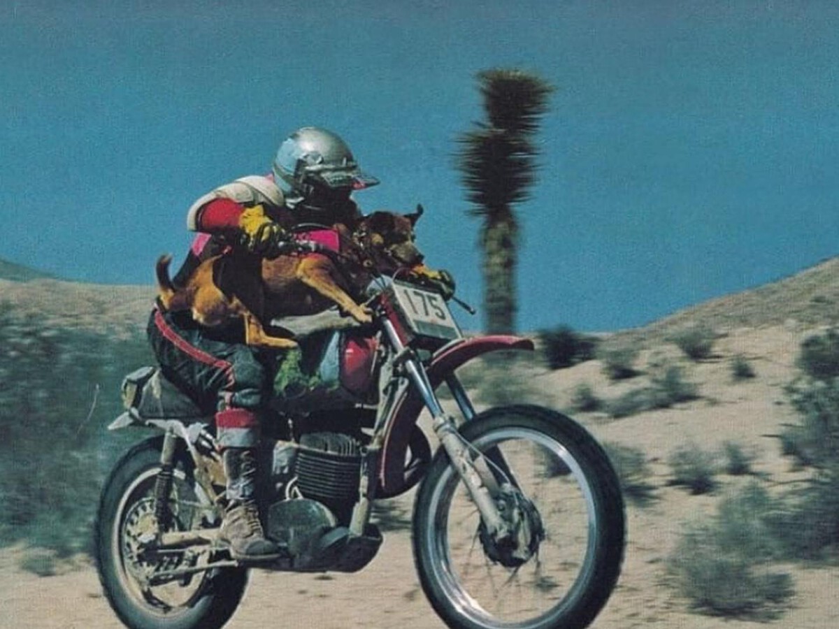 Hace 51 años un hombre ganó el Dakar americano con su perro como copiloto. Se convirtió en un mito de las motos