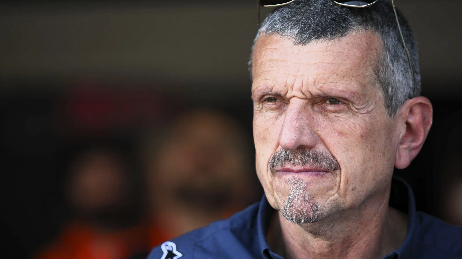 La teoría de Guenther Steiner de