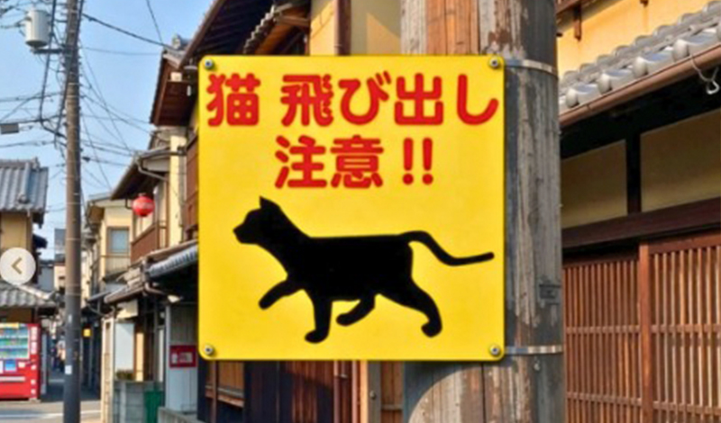 Cuando una señal puede salvar una vida: la lección de Japón sobre seguridad en carretera - Ilustración 1